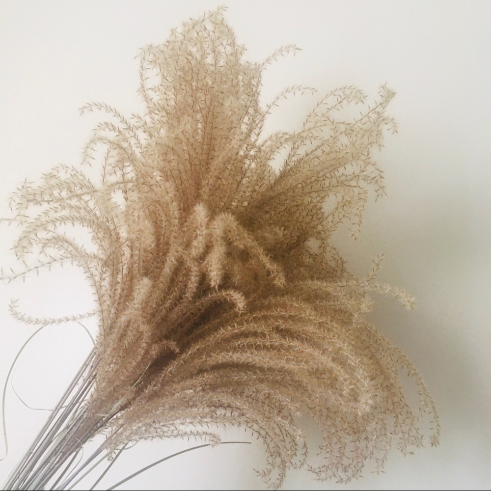 50 Pcs .Dried natural Pampas Grass 50 stems